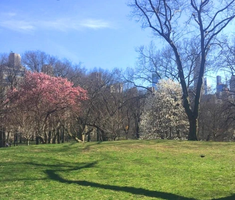 s22qV02_8TPrY37n1N9pNavk2aF3u6HwwwoPlHL8te51wyrlrC2gPzLKO9g6gxJ4AsIIeog_MiaU03xtyw_qKkULly47e9CnQgS6CfmX12XDnkI72oAkhg9yzhXCmhOP-K4jd440