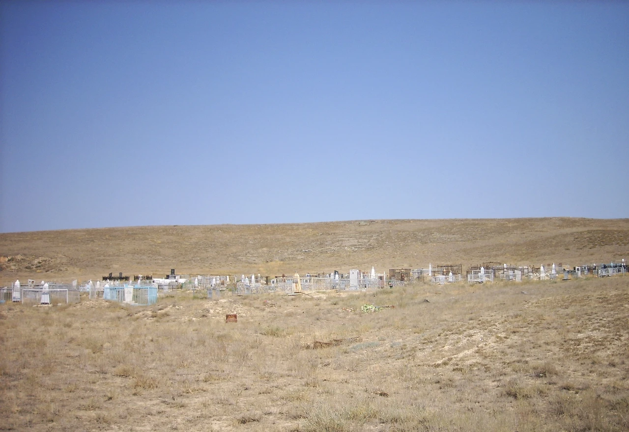 고려인 공동묘지.JPG