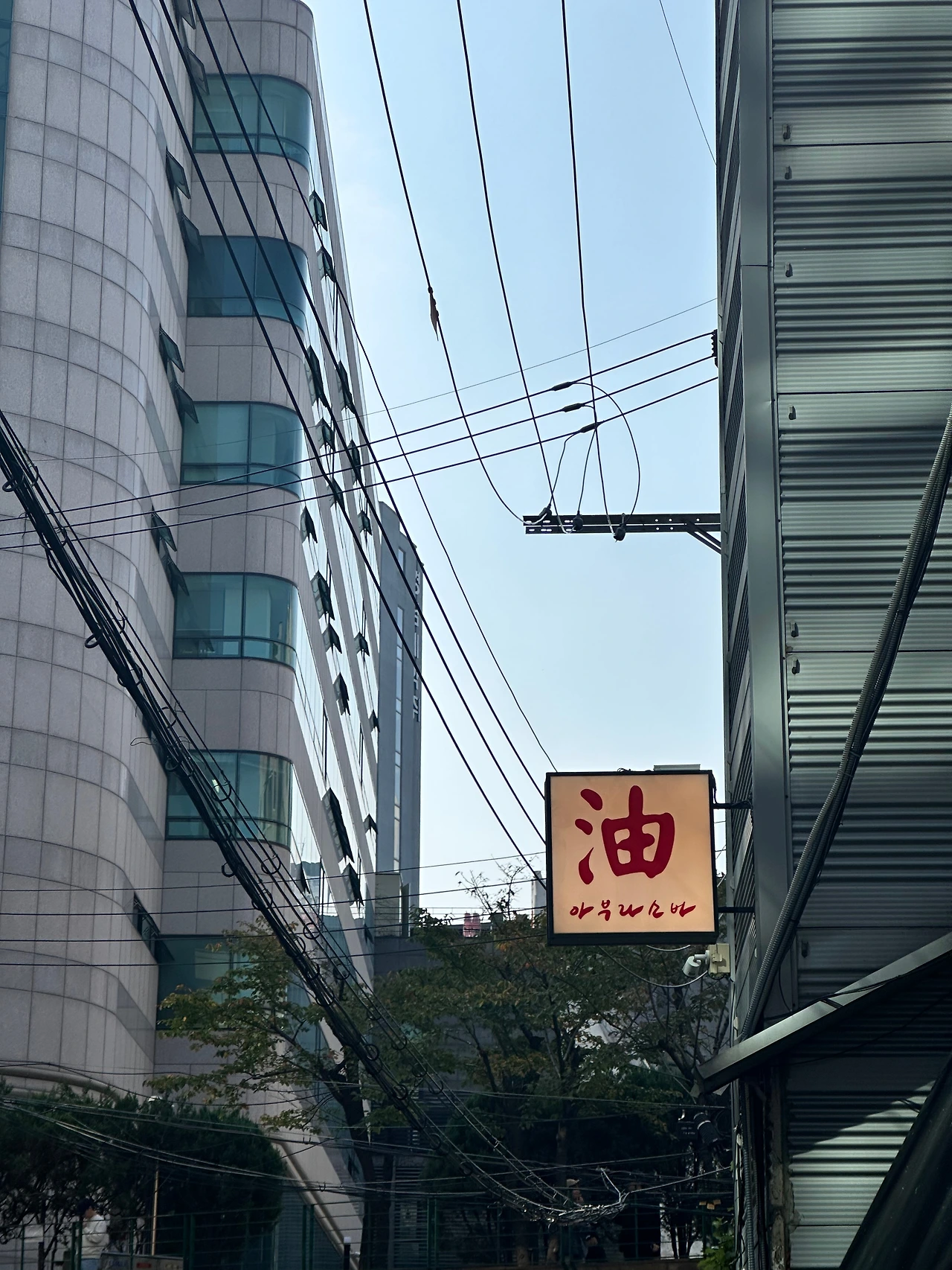 KakaoTalk_Photo_2024-10-16-19-26-54 007.jpeg