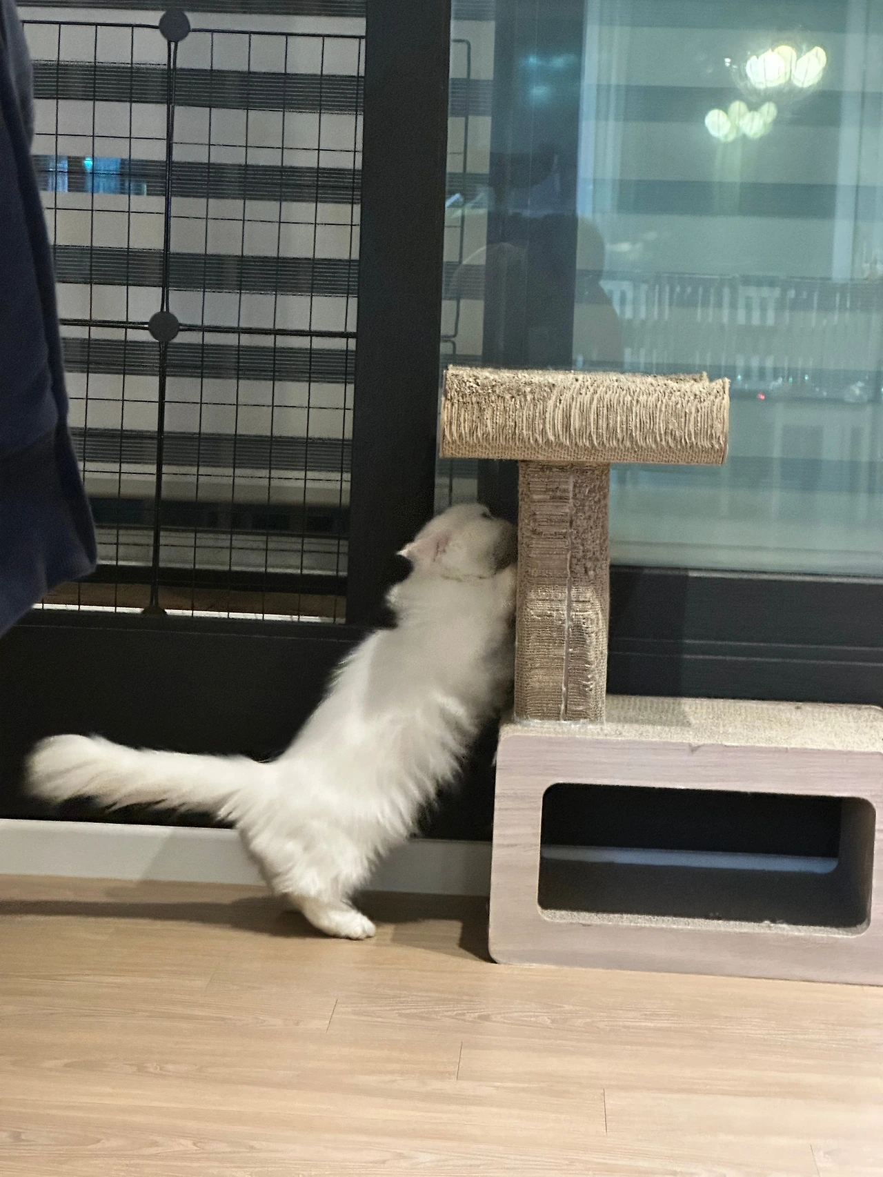 KakaoTalk_Photo_2024-10-17-09-25-35 003.jpeg