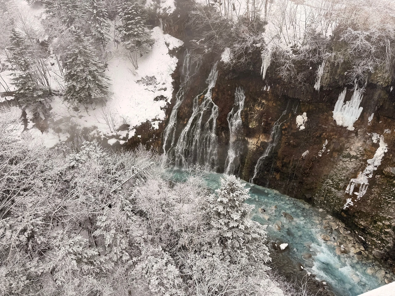 KakaoTalk_Photo_2025-12-28-22-37-57 009.jpeg