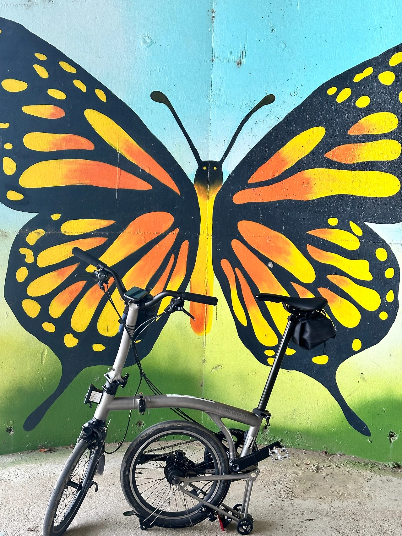 KakaoTalk_Photo_2024-08-25-19-43-31 002.jpeg