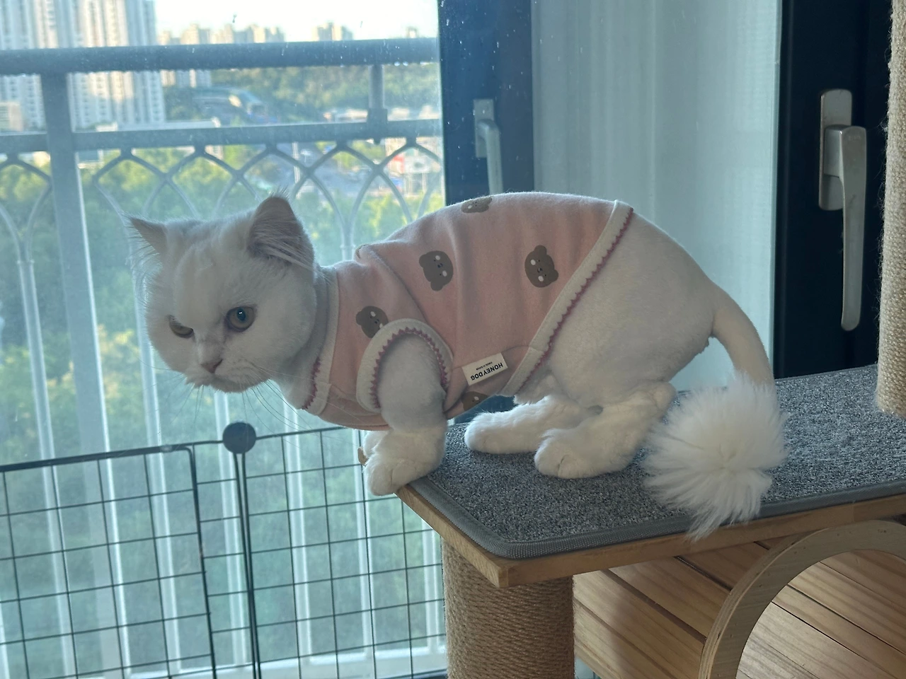 KakaoTalk_Photo_2024-10-17-09-25-37 008.jpeg