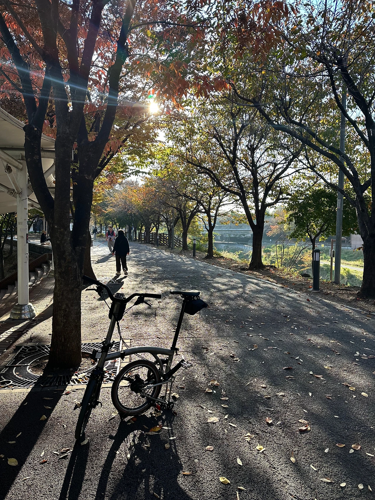 KakaoTalk_Photo_2024-11-09-08-48-27 019.jpeg