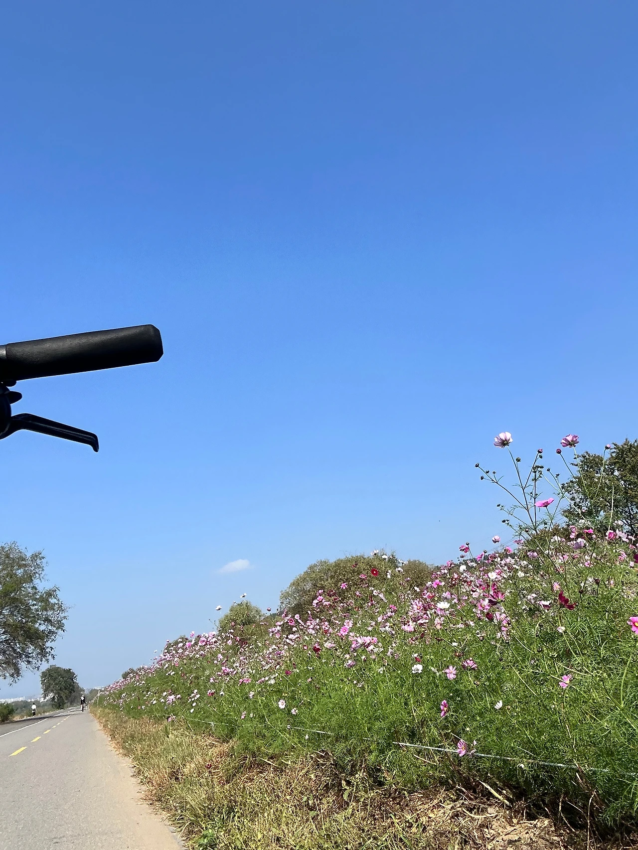 KakaoTalk_Photo_2024-10-16-19-26-52 004.jpeg