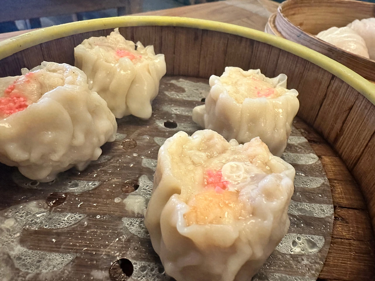 KakaoTalk_Photo_2025-04-05-08-47-14 008.jpeg