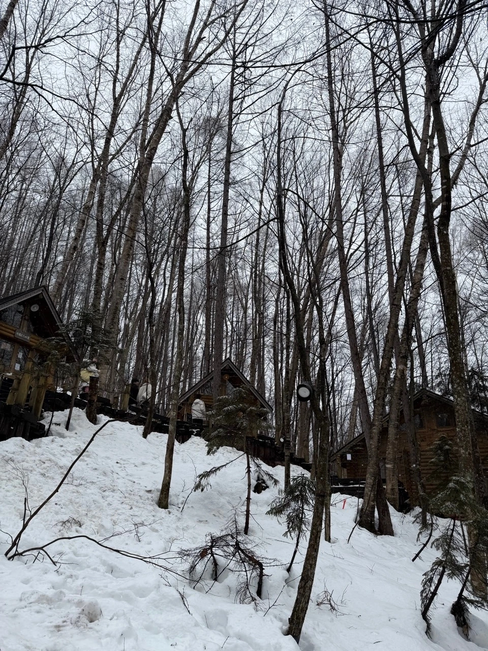 KakaoTalk_Photo_2025-12-28-23-10-33 001.jpeg