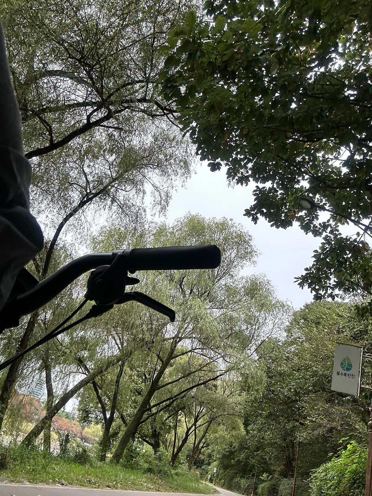 KakaoTalk_Photo_2024-10-14-21-23-52 001.jpeg