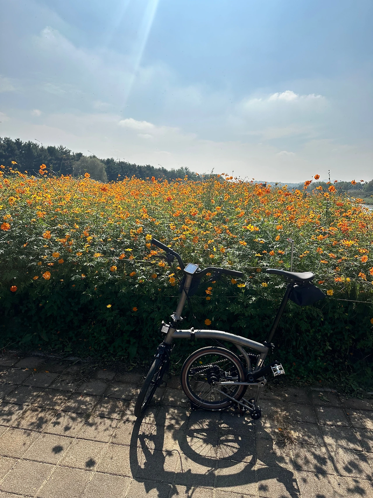 KakaoTalk_Photo_2024-10-16-19-26-52 003.jpeg