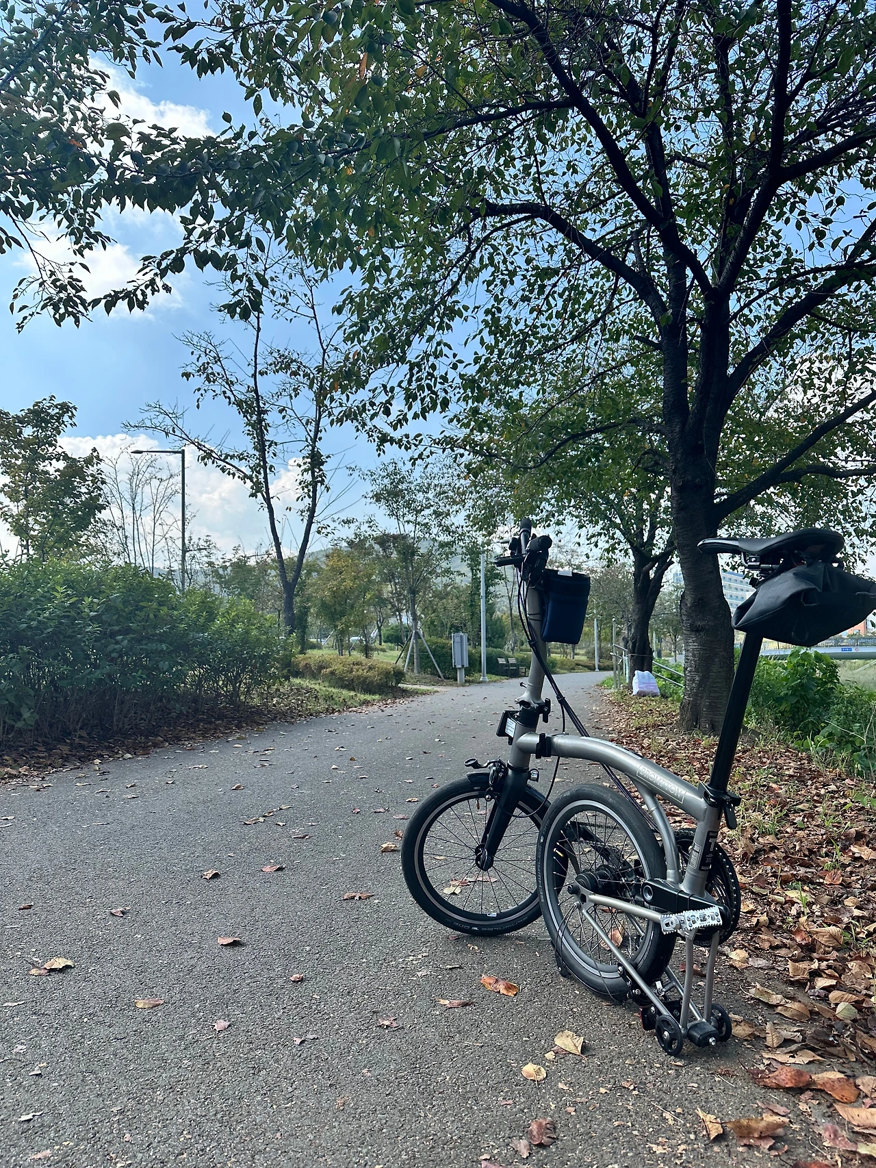 KakaoTalk_Photo_2024-10-08-17-37-05 002.jpeg