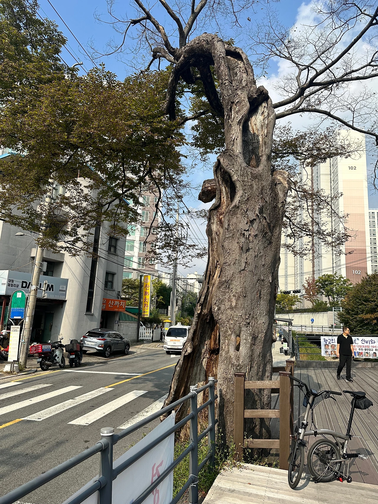 KakaoTalk_Photo_2024-10-11-17-24-10 006.jpeg