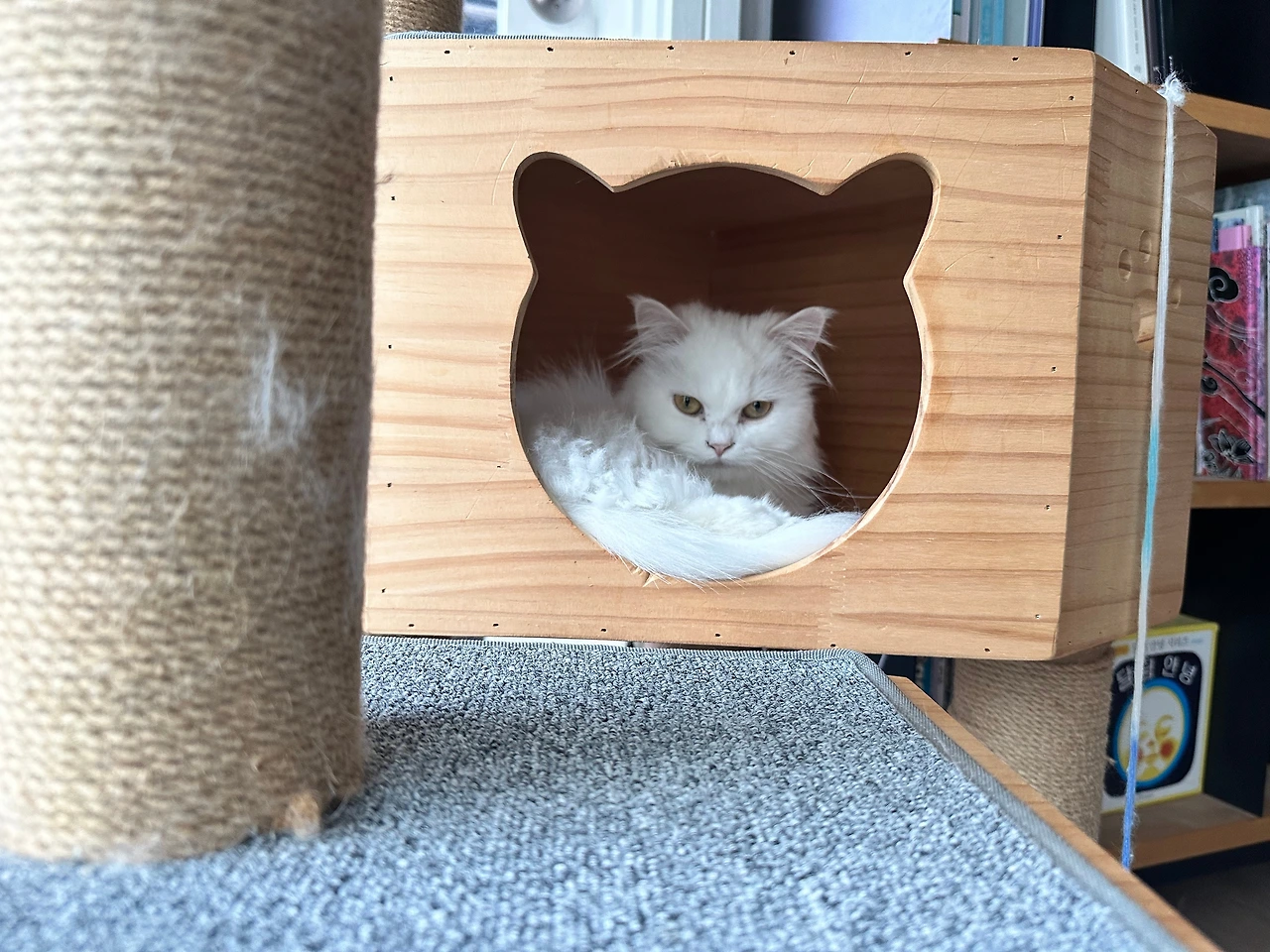 KakaoTalk_Photo_2024-10-17-09-25-35 004.jpeg