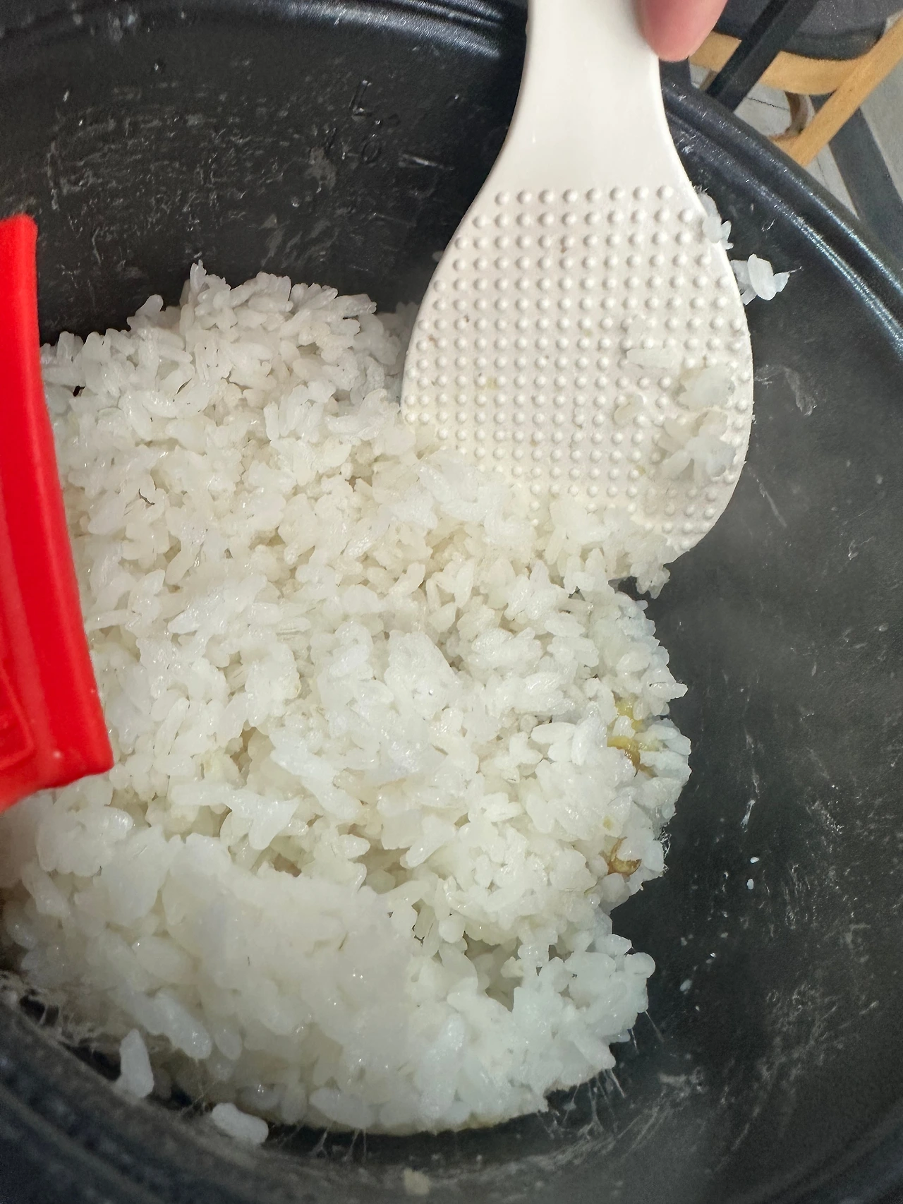 KakaoTalk_Photo_2024-10-02-17-52-50 015.jpeg