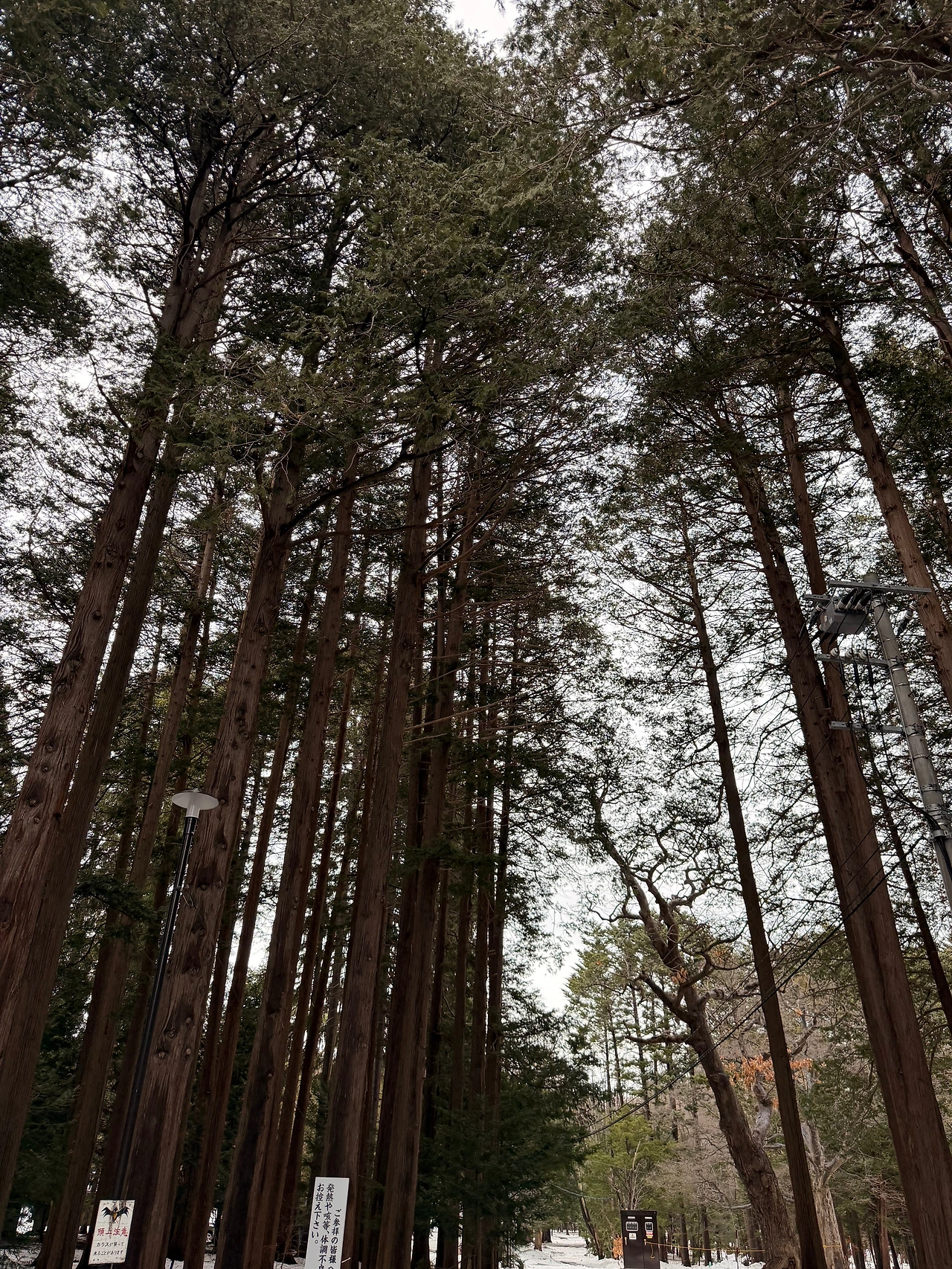 KakaoTalk_Photo_2025-12-28-21-13-18 003.jpeg