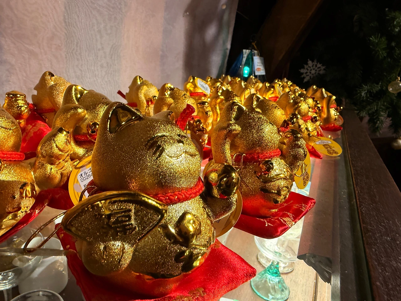 KakaoTalk_Photo_2025-12-28-21-13-42 006.jpeg