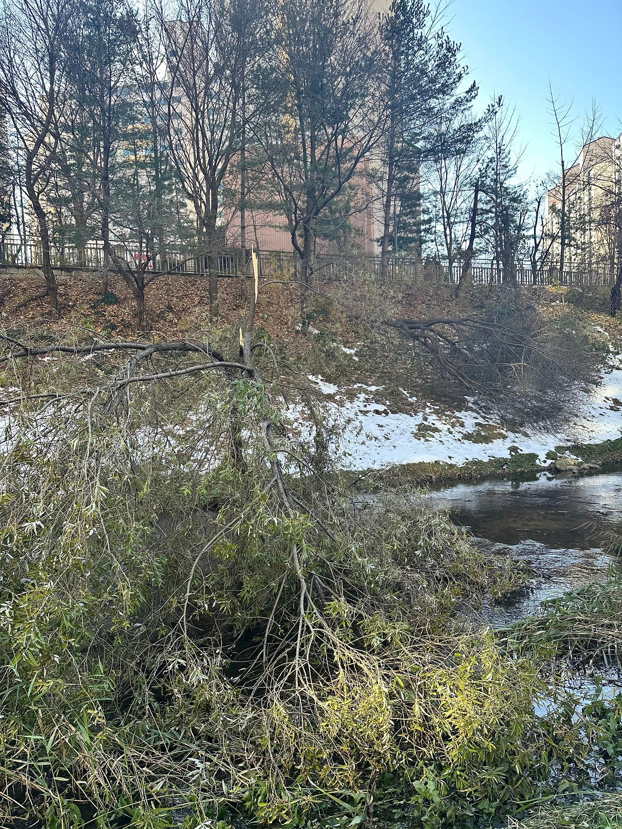 KakaoTalk_Photo_2024-12-04-17-41-14 002.jpeg