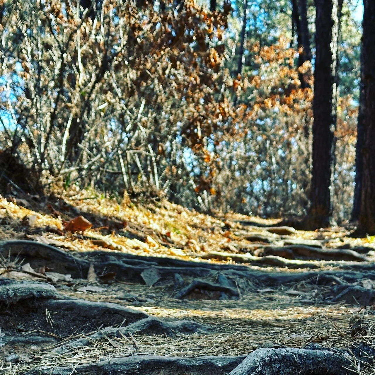 KakaoTalk_Photo_2022-12-05-14-25-09 001.jpeg