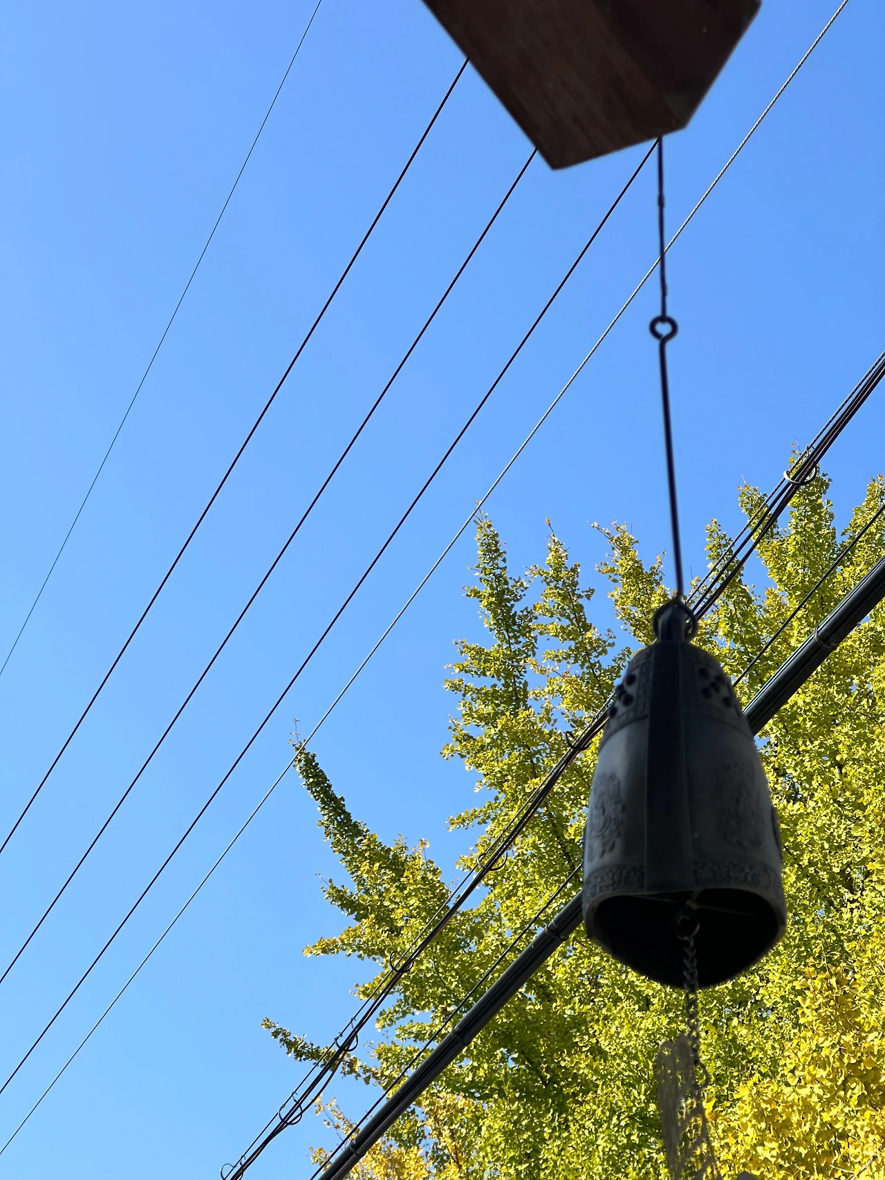 KakaoTalk_Photo_2024-10-25-20-22-58 003.jpeg