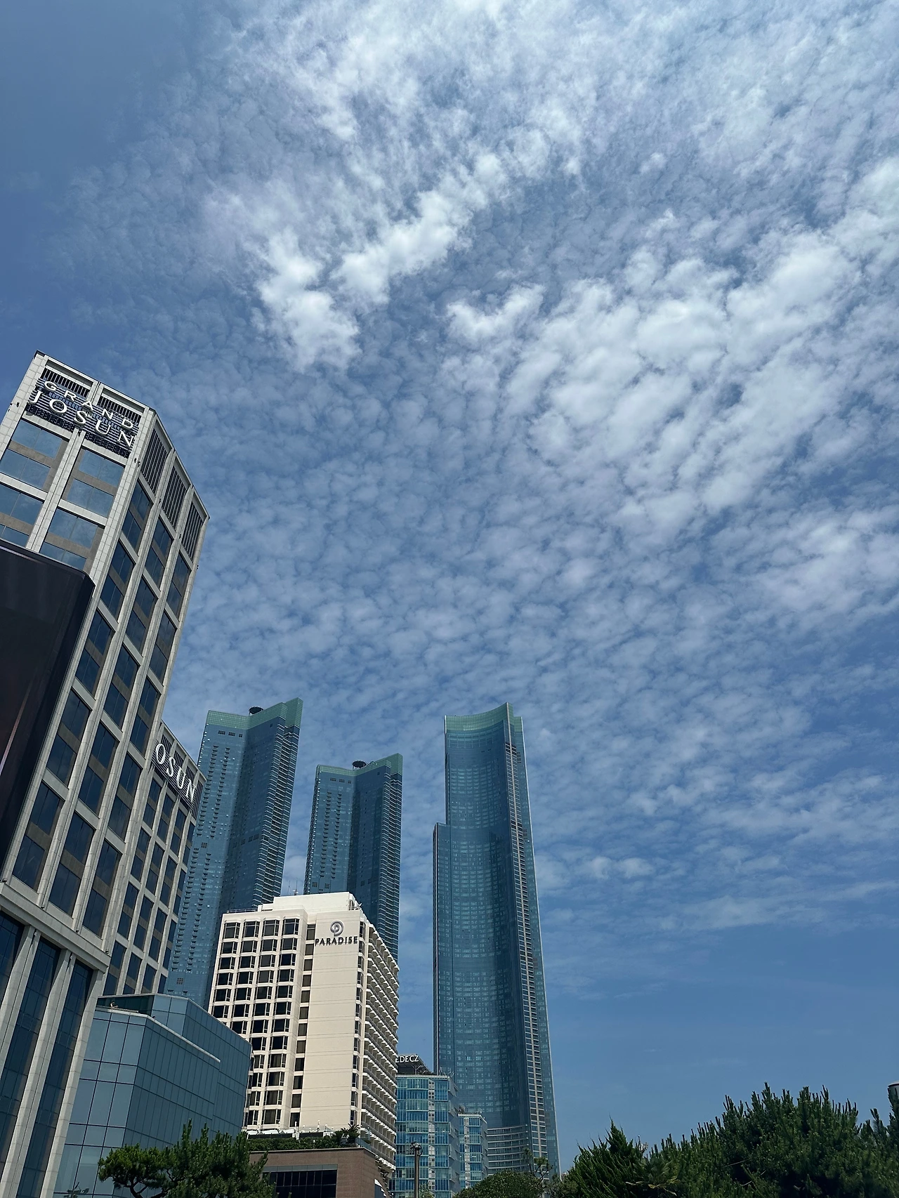 KakaoTalk_Photo_2025-07-22-08-02-56 001.jpeg