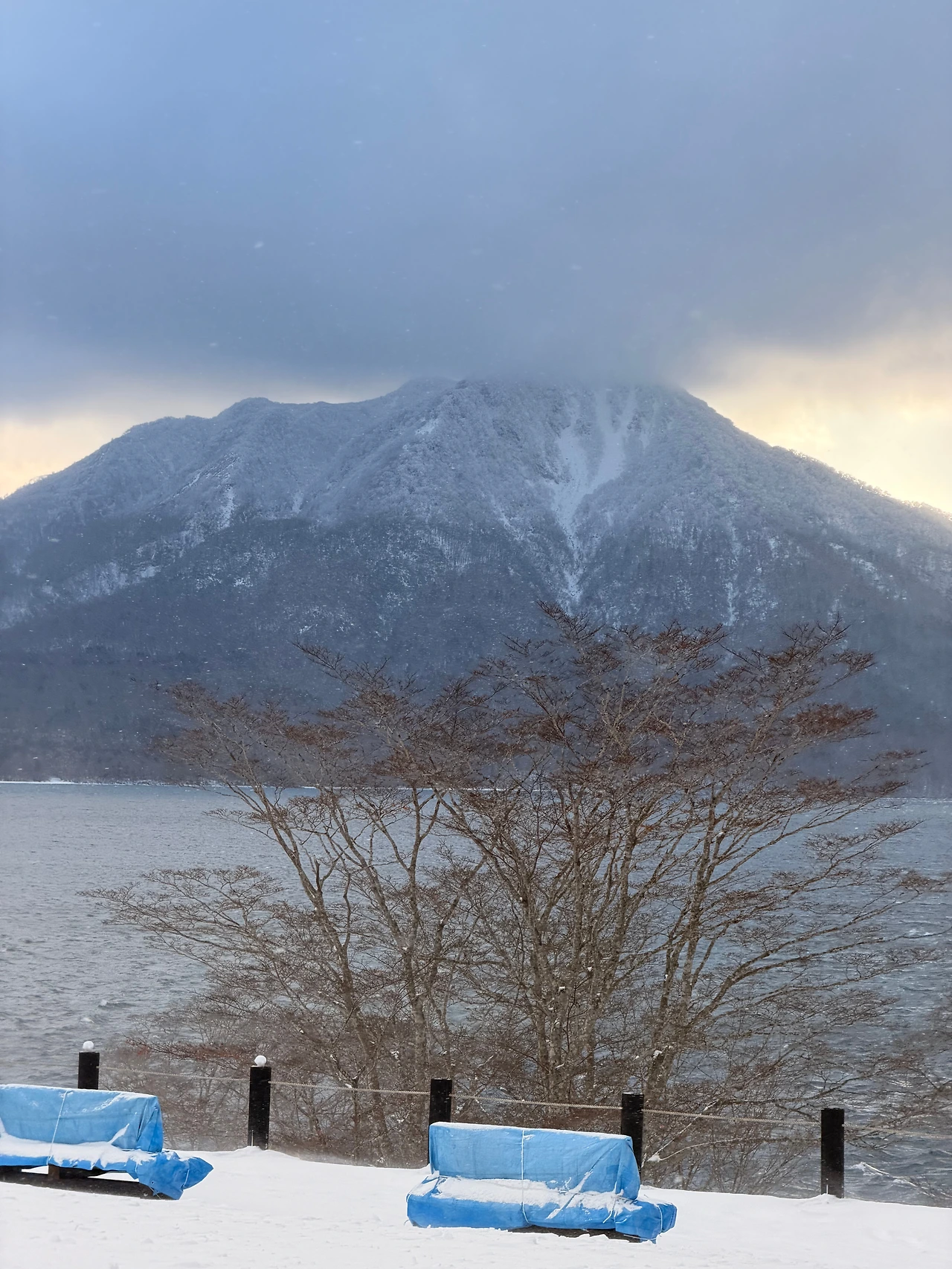 KakaoTalk_Photo_2025-12-29-00-19-11 008.jpeg