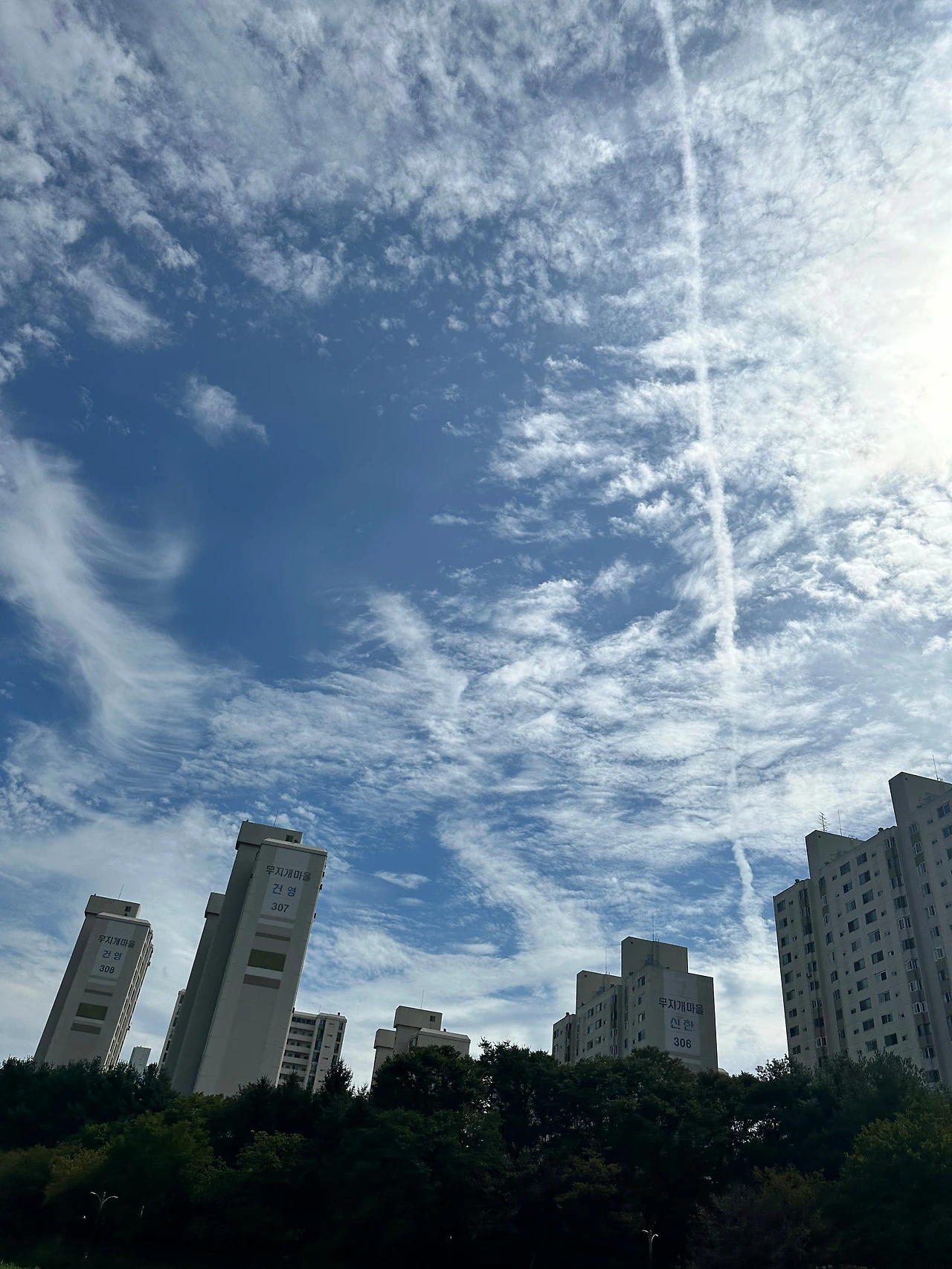 KakaoTalk_Photo_2024-09-19-16-56-45 002.jpeg