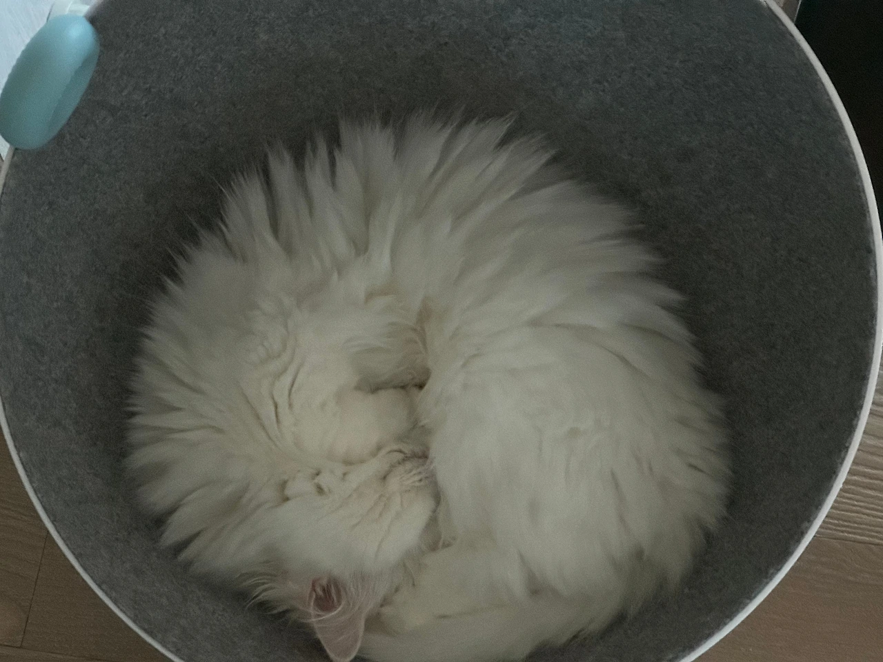 KakaoTalk_Photo_2024-10-17-09-25-38 010.jpeg