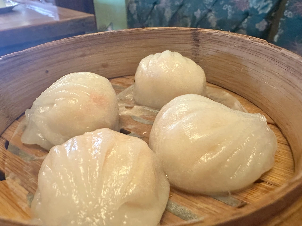 KakaoTalk_Photo_2025-04-05-08-47-14 009.jpeg