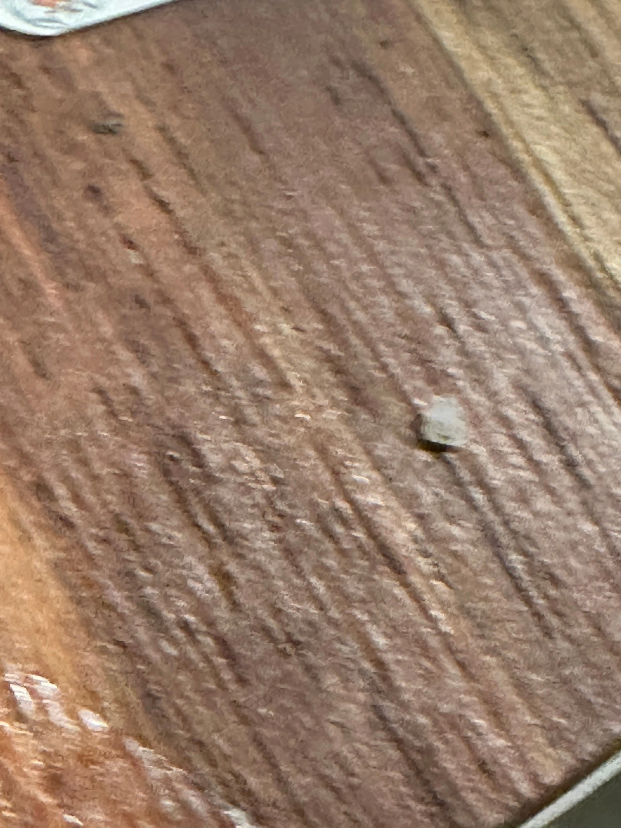 KakaoTalk_Photo_2024-08-26-20-34-24 002.jpeg