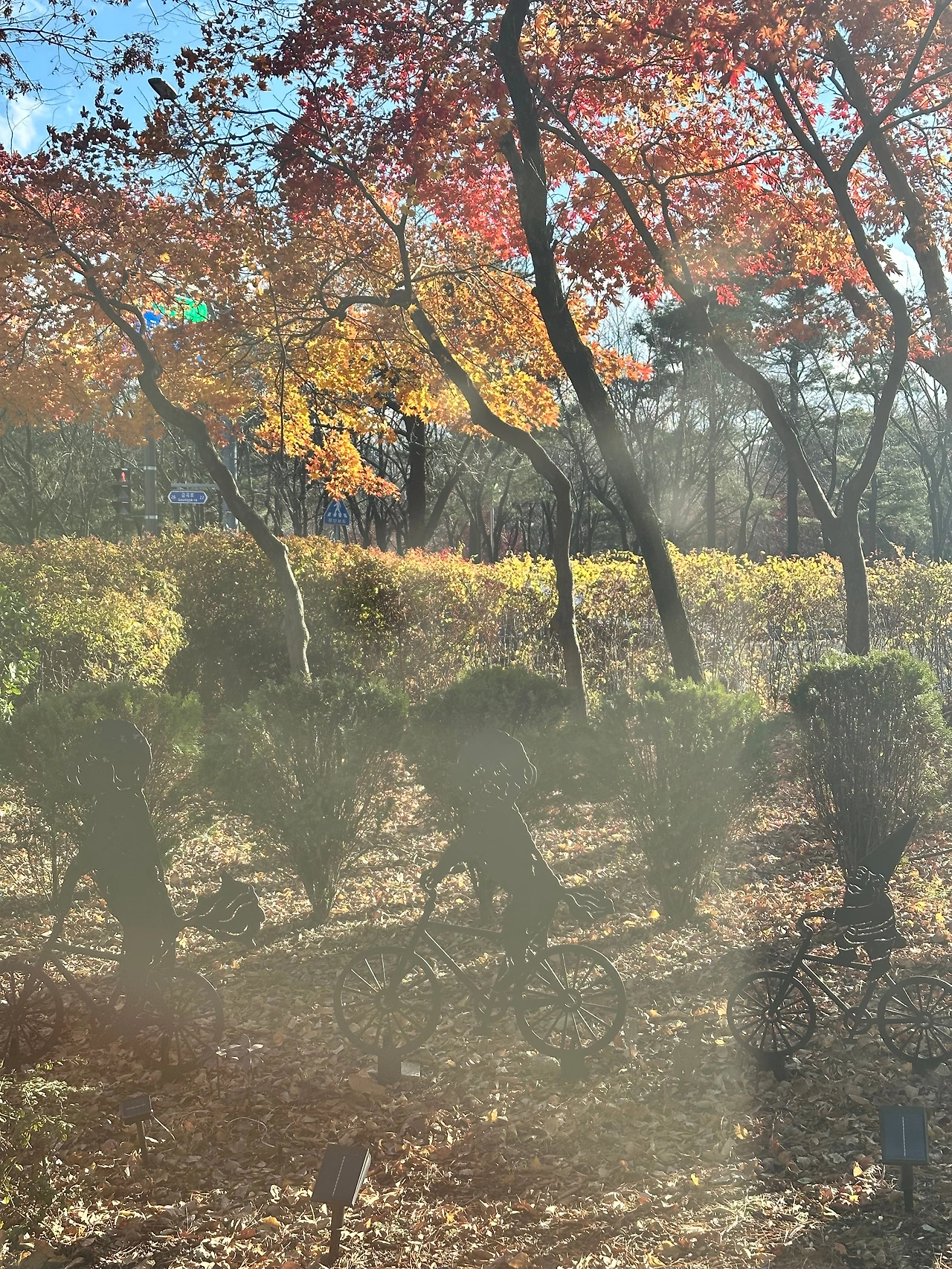 KakaoTalk_Photo_2024-12-07-08-25-53 026.jpeg