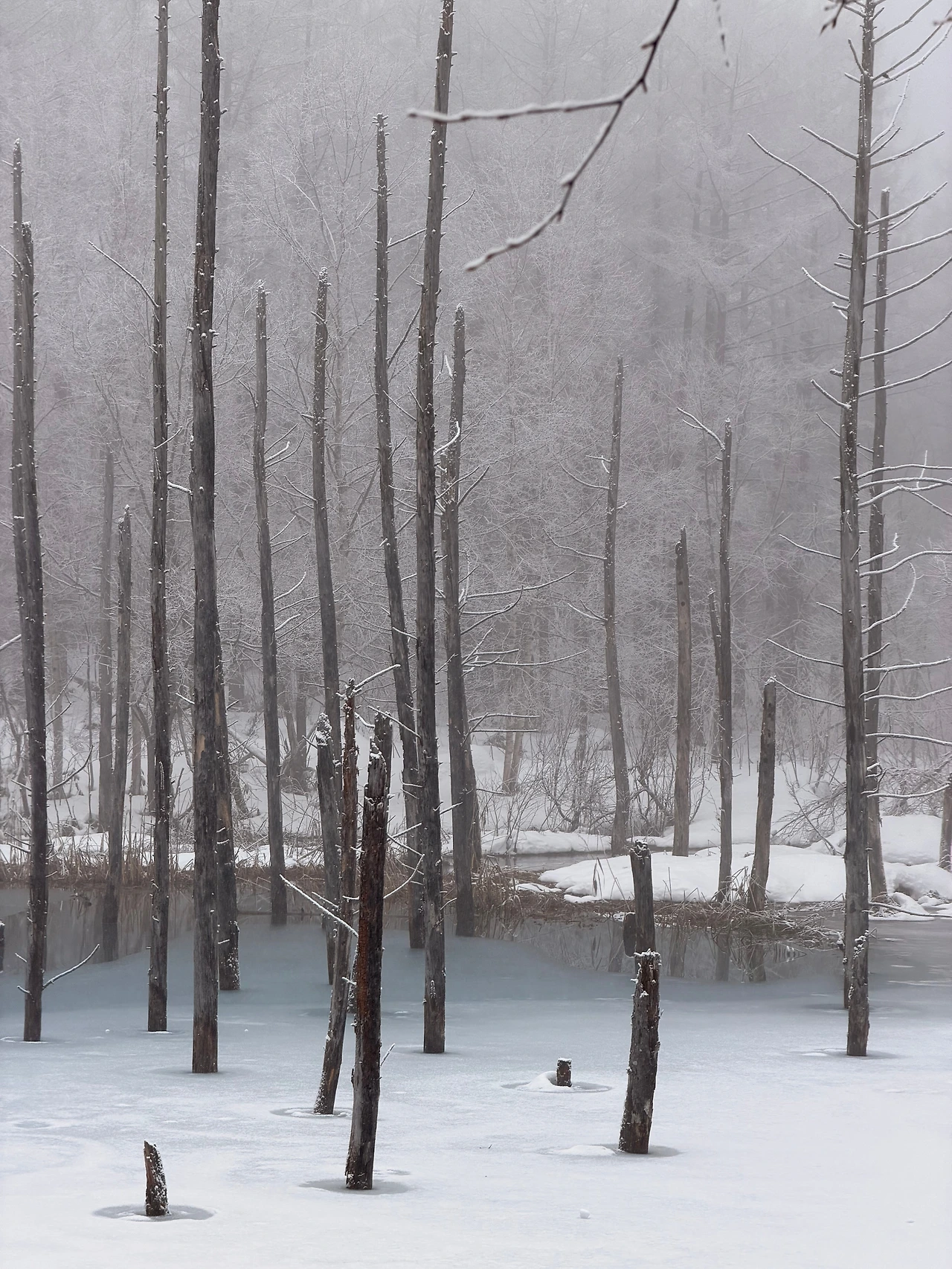 KakaoTalk_Photo_2025-12-28-22-37-55 005.jpeg