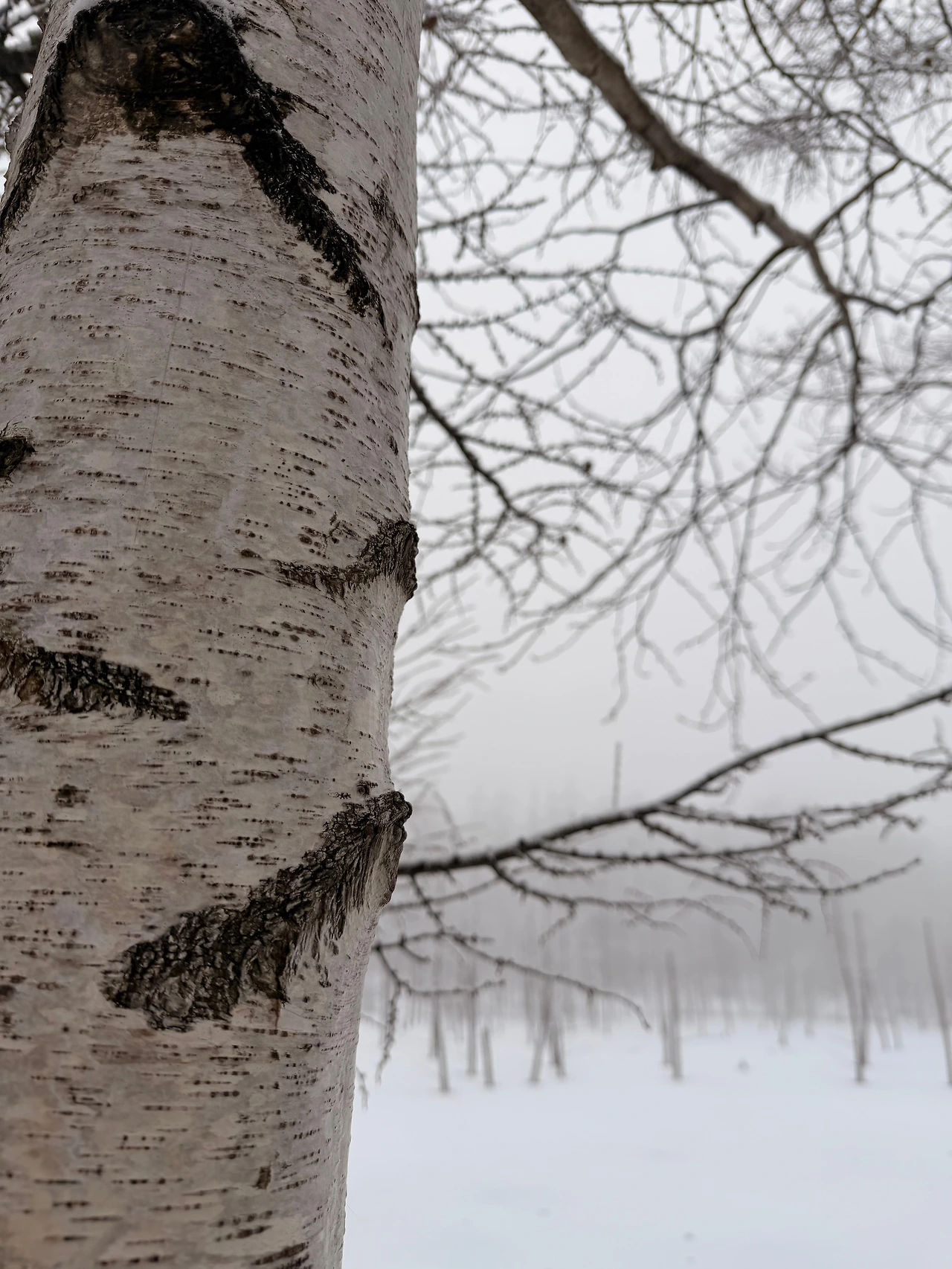 KakaoTalk_Photo_2025-12-28-22-37-54 003.jpeg