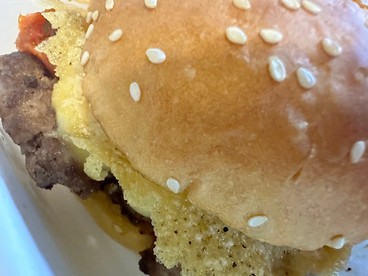 KakaoTalk_Photo_2024-09-25-19-38-17 011.jpeg