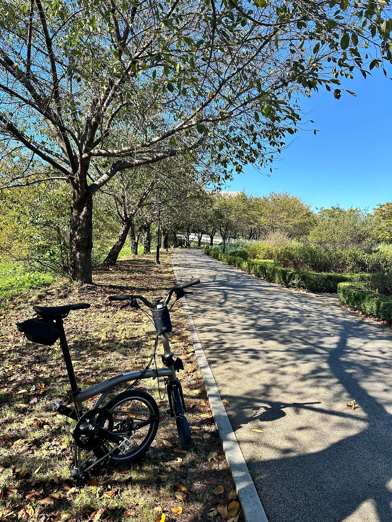 KakaoTalk_Photo_2024-10-02-17-52-52 021.jpeg