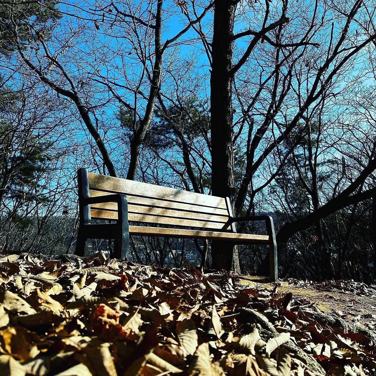 KakaoTalk_Photo_2022-12-05-14-25-10 002.jpeg