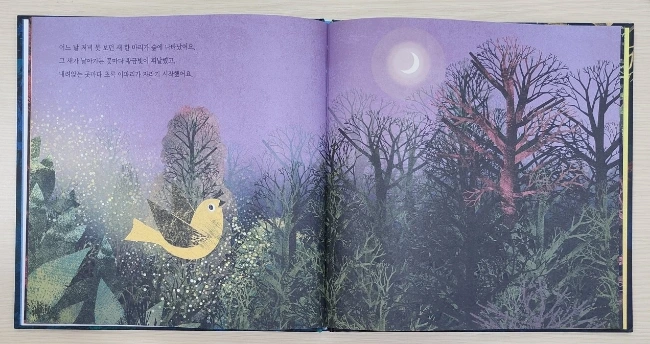 1701176896922.jpg?type=w966