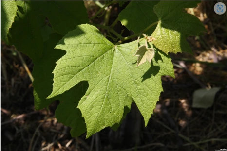 %EC%8A%A4%ED%81%AC%EB%A6%B0%EC%83%B7_2024-01-23_184021.png?type=w466