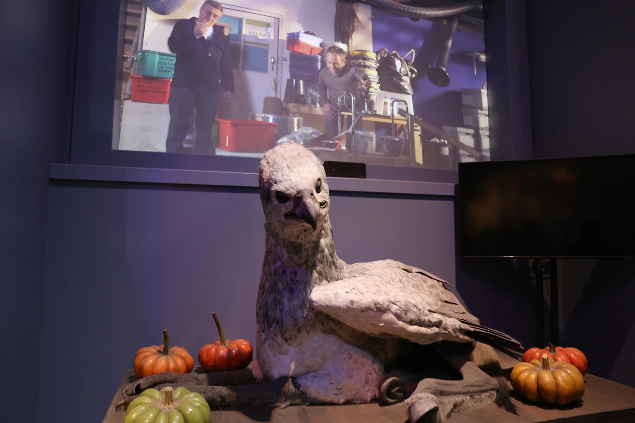 20190705224325_IMG_2243 - 복사본.JPG