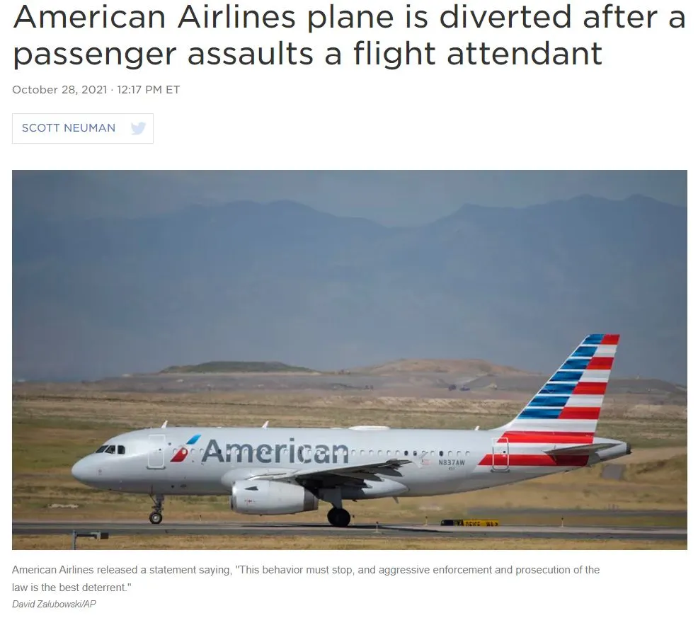 AA unruly passenger.JPG