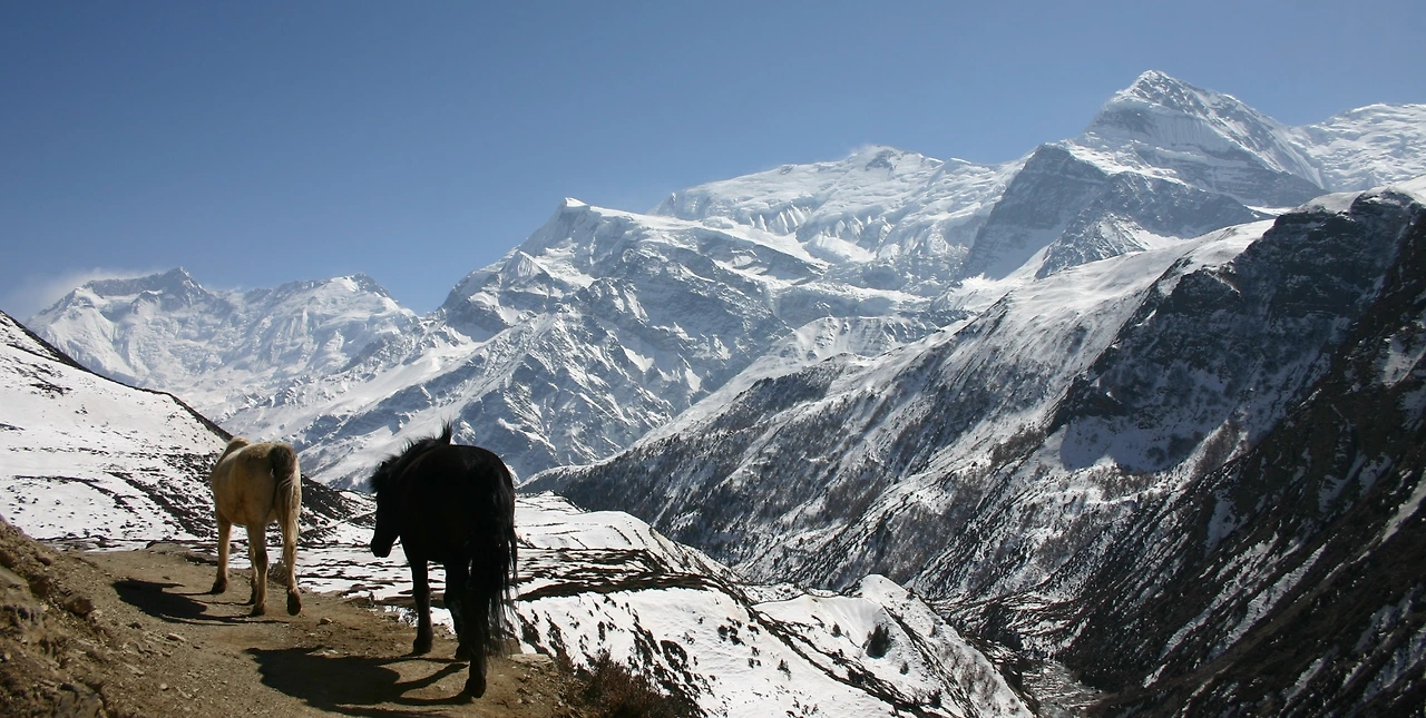 안나푸루나 트레킹 루트 중 전경.JPG