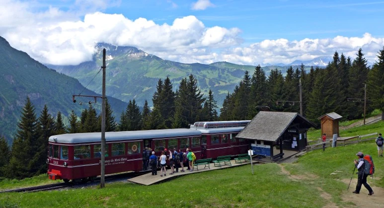 1P1300545.JPG?type=w773