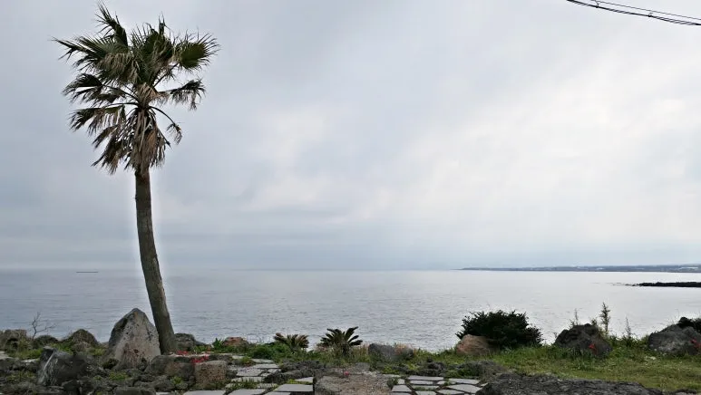 %EC%98%AC%EB%A0%88_4%EC%BD%94%EC%8A%A4_%EC%A0%95%EA%B2%BD_(3).JPG?type=w773