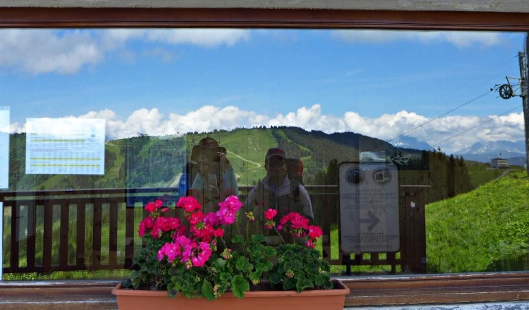 1P1300529.JPG?type=w773