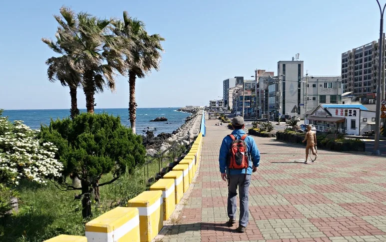 17_%E2%91%A0_2-_%EC%BD%94%EC%8A%A4_%EC%B4%88%EB%B0%98_%EC%B6%94%EC%96%B5%EC%9D%98_%EA%B1%B0%EB%A6%AC.JPG?type=w773