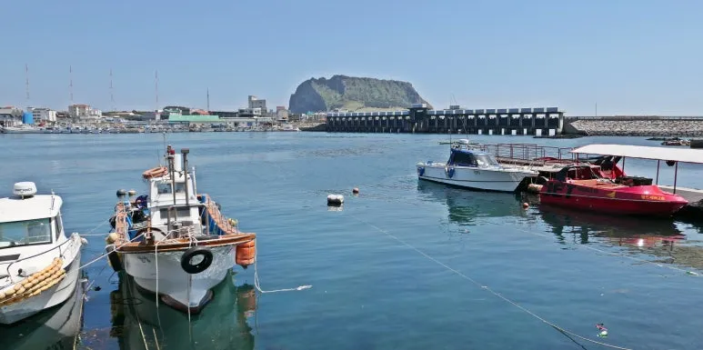 1_%E2%91%A0_2-_1%EC%BD%94%EC%8A%A4_%EC%84%B1%EC%82%B0_%ED%95%B4%EC%95%88_%EC%A0%84%EA%B2%BD.JPG?type=w773