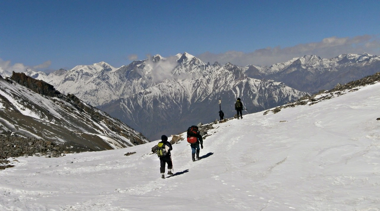 다운로드 (4).jpeg