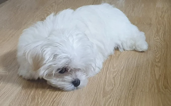 En6AY6aVgAAqNhr.jfif