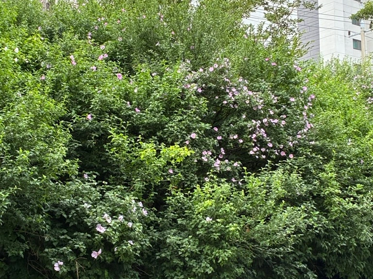 SE-8e2f4e92-2c49-4d6c-bfc3-c5a9a06b424c.jpg?type=w773