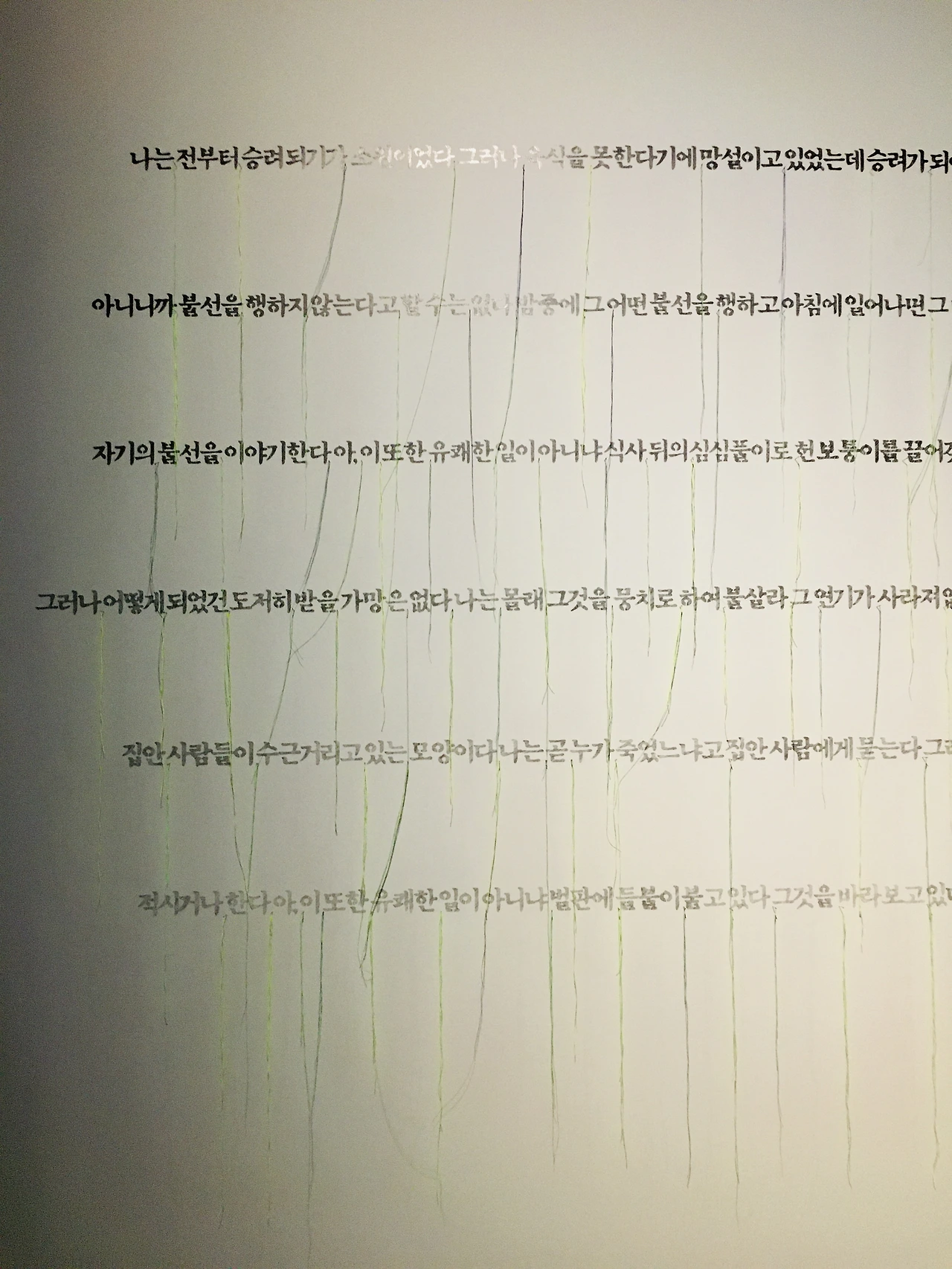 IMG_E1731 - 복사본.JPG