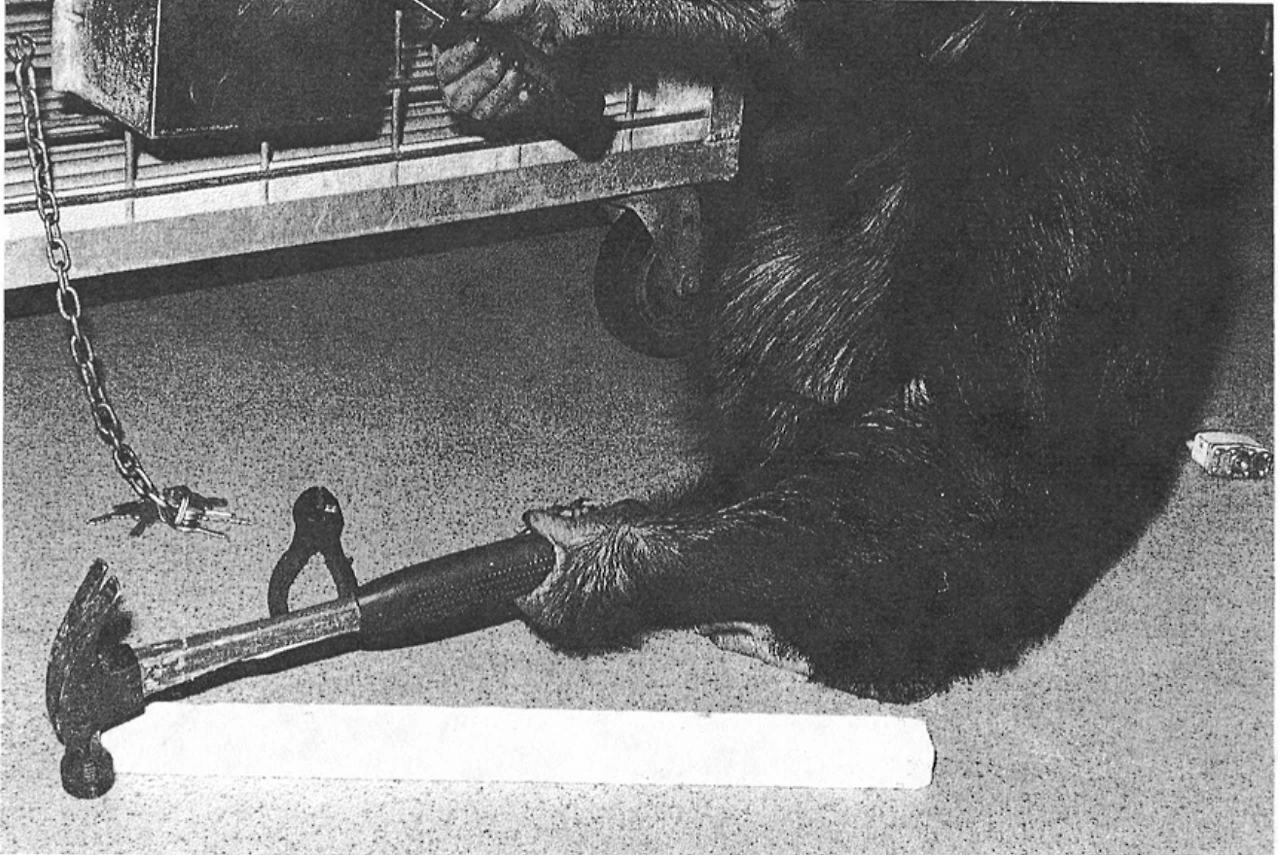 AD_4nXek3P1tLfI7adNjOjG8svSovbGqRz39bhSEQuYk3569YhhruayCsZsE1s-OnkhXxAJG-b3cUm8TgMZ9F0AABI53qJzGTlvpz63PBDWDM4cBWDknGSzf-innPGr-1TE9erOM6el4BgskypyihgnTblCt0344gL-zazIm6wjA?key=OyGbYM-g-NtLXQAwlqXPAw