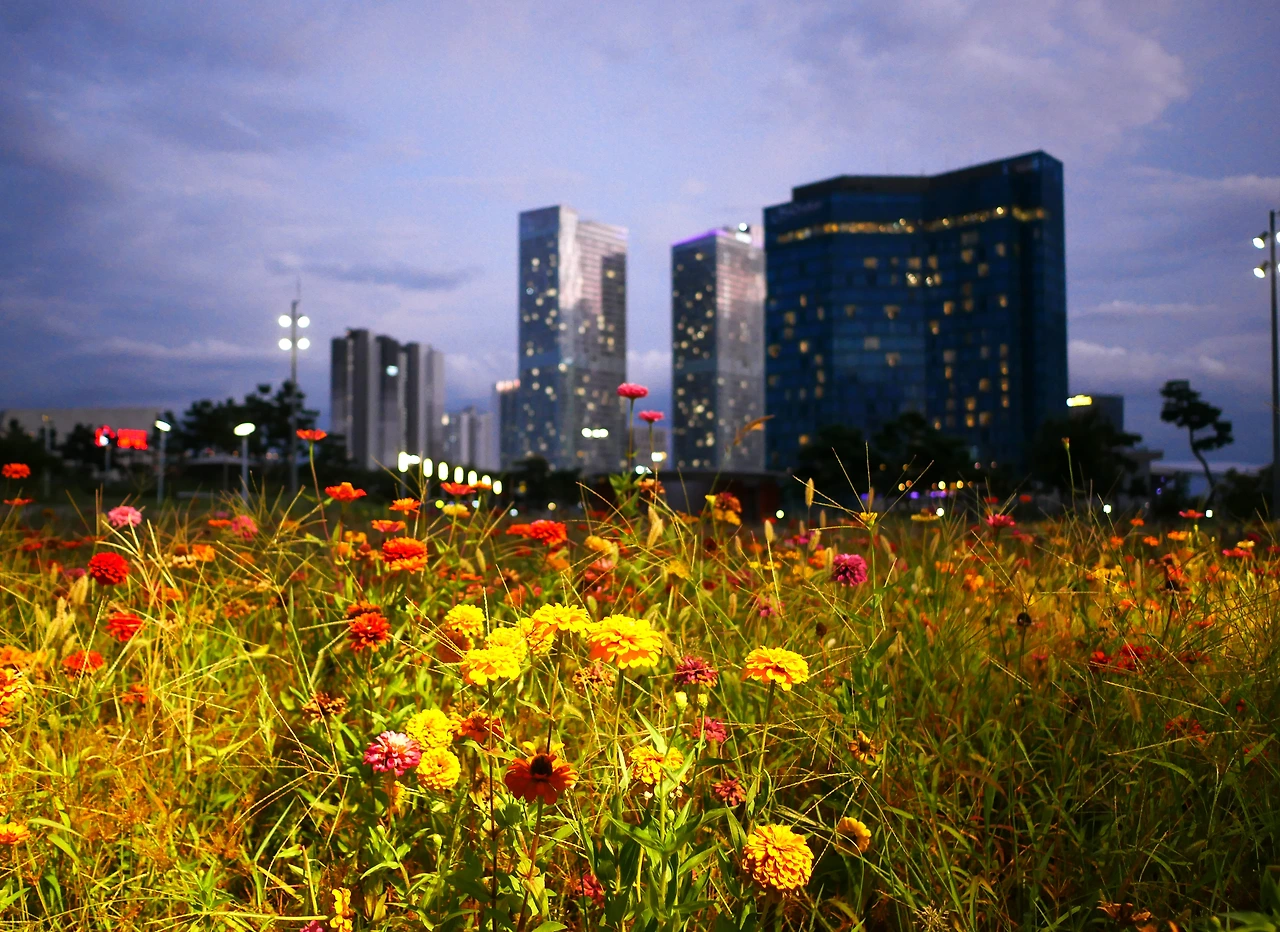 곳곳에 녹지가 많은 송도.JPG